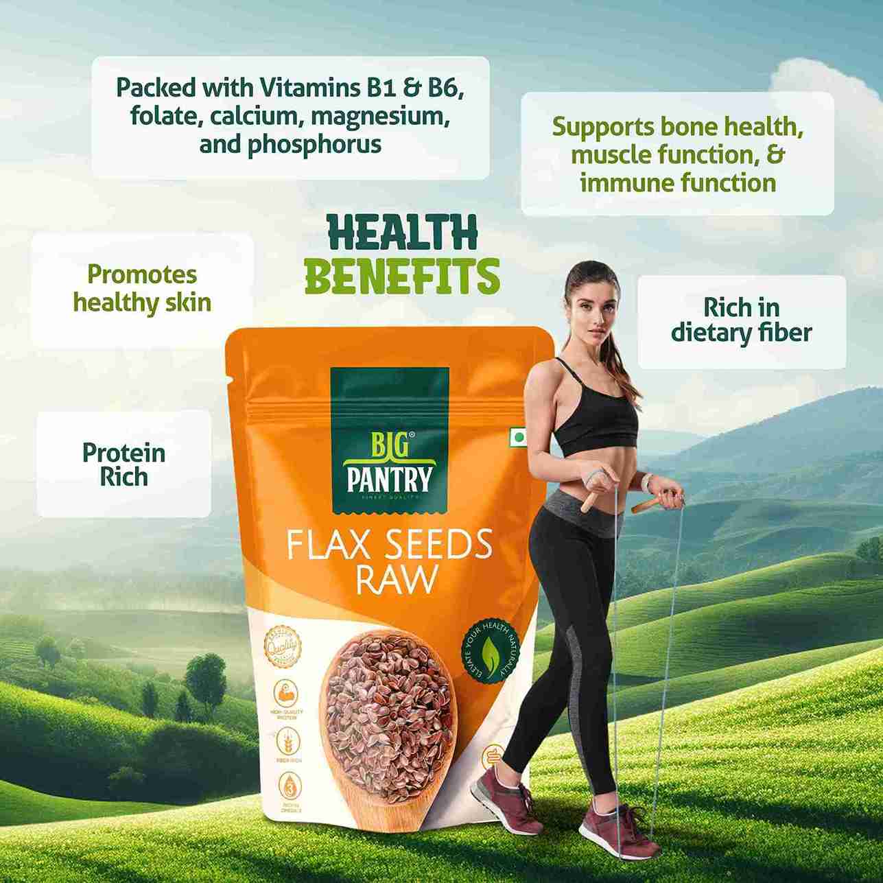 Big Pantry Raw Flax Seeds (Alsi) pouch, 500g pack